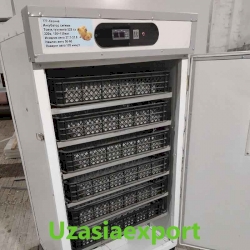 Incubator