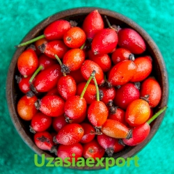 Rosehip