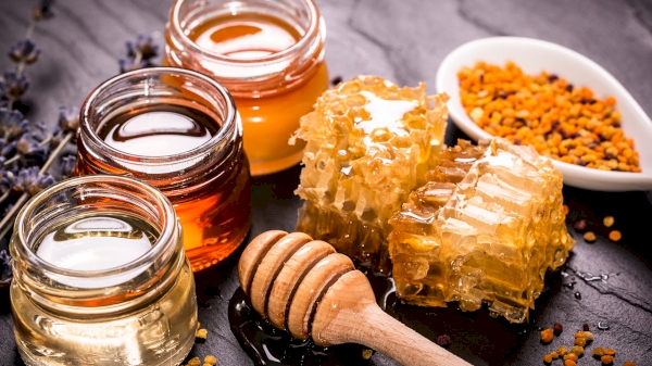 Export prices of honey from Uzbekistan