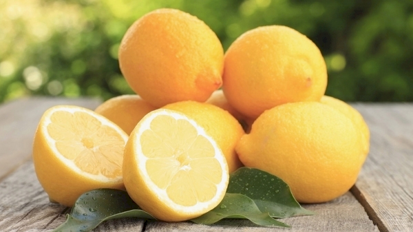 Uzbekistan increased lemon exports by 7.1%