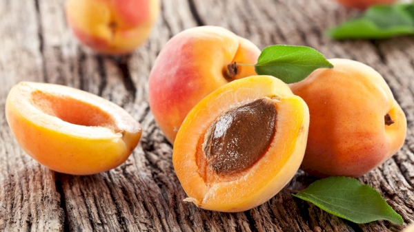 Over 500 000 tons of apricots were grown in Uzbekistan