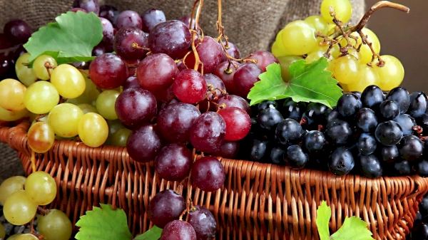 How many grapes were grown in January-June 2024?