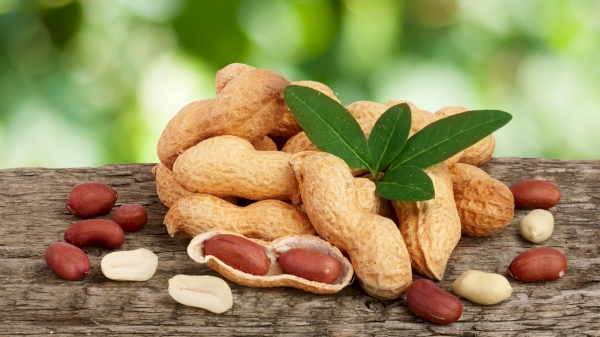 In 2024, the value of peanut exports from Uzbekistan increased by 2.2 times