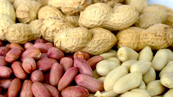 Uzbekistan's Peanuts Exports Surge by 73.7% in 2024 it shows great export potential