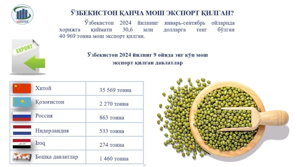  How Much Mung Bean Has Uzbekistan Exported in this year?