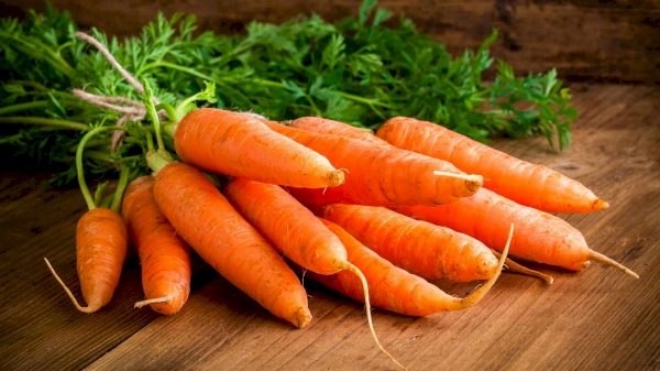 How much carrot did Uzbekistan export in 11 months?