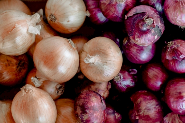 Uzbekistan could enter TOP-5 largest onion exporters