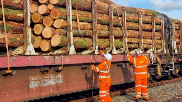 How much timber and board materials were transported by rail within 9 months?
