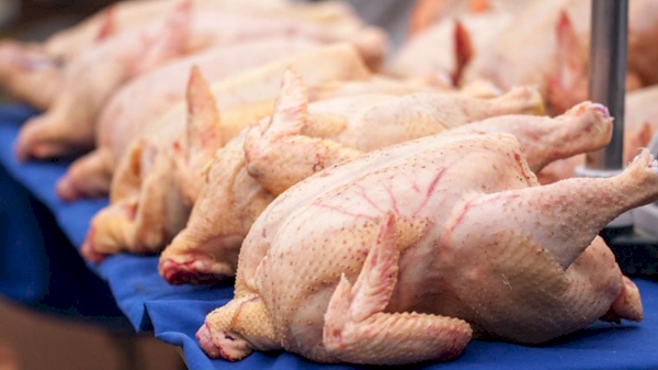Uzbekistan lifts restrictions on poultry meat exports