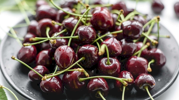 Uzbekistan starts early cherry exports with high demand