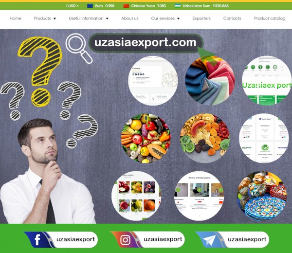 为什么选择Uzasiaexport.com?